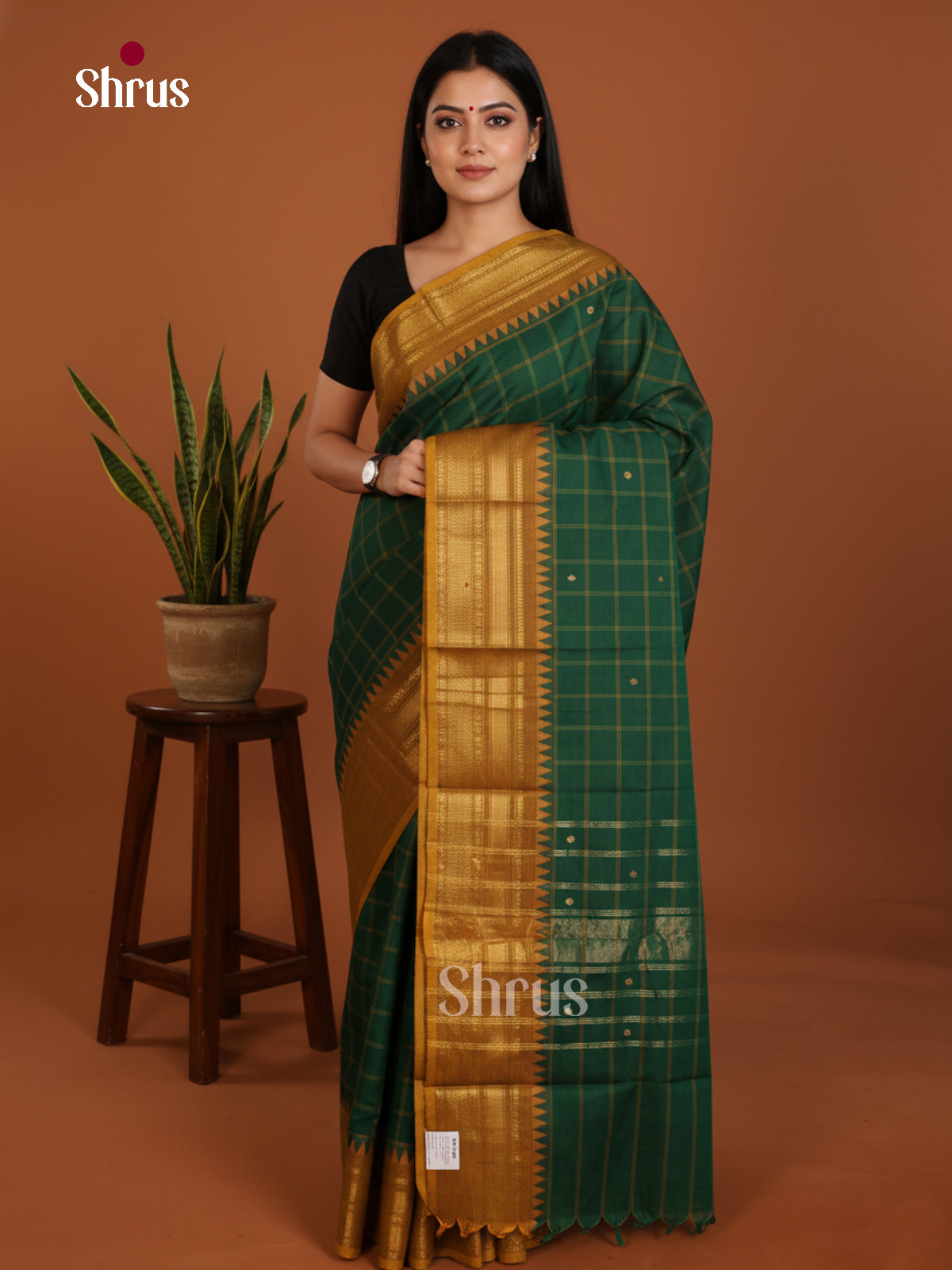 DLS04012 - Chettinad Cotton Saree