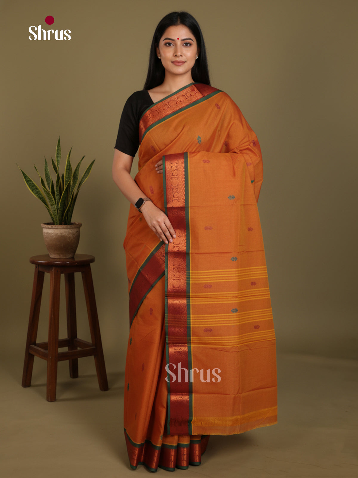 Mustard & Green - Chettinad Mix Cotton-Without Blouse Saree-DLS06097 - Shop on Shrus.com