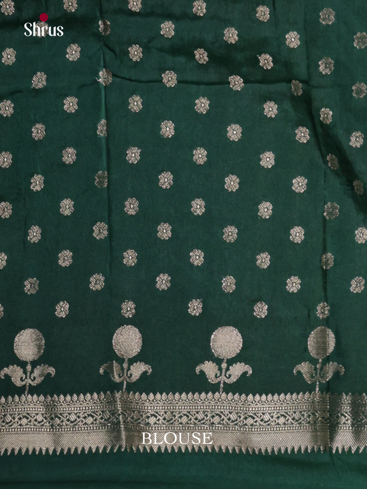 Yellow & Green - North Silk Cotton Saree - DLS06125