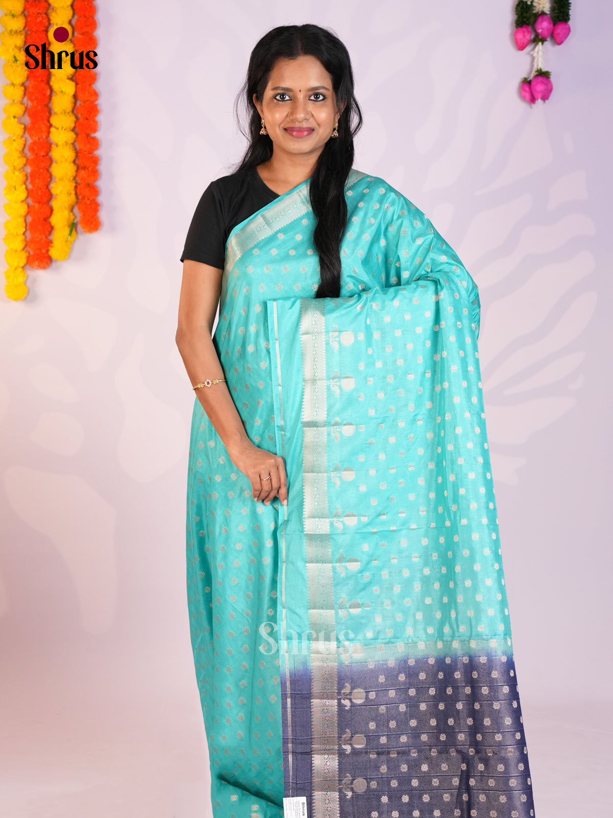 Sky Blue & Blue - North Silk Cotton Saree-DLS06178