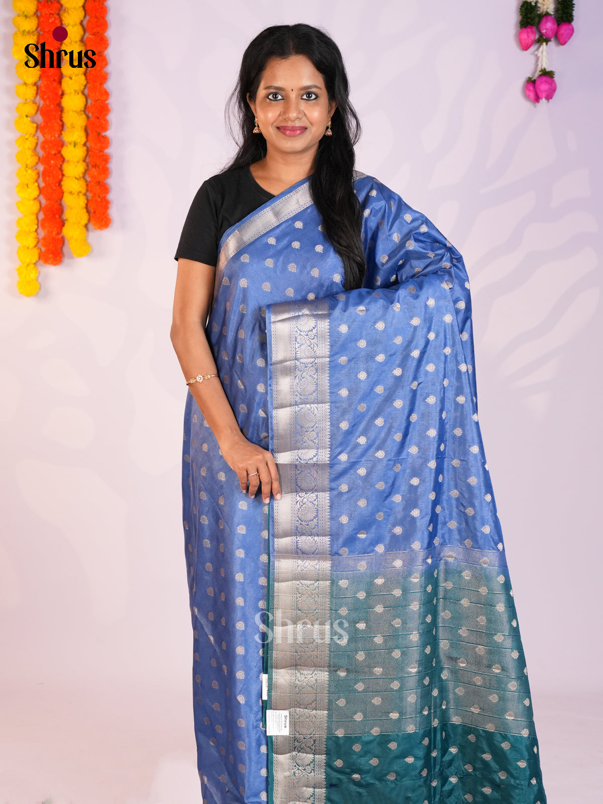 Blue & Green - North Silk Cotton Saree-DLS06186