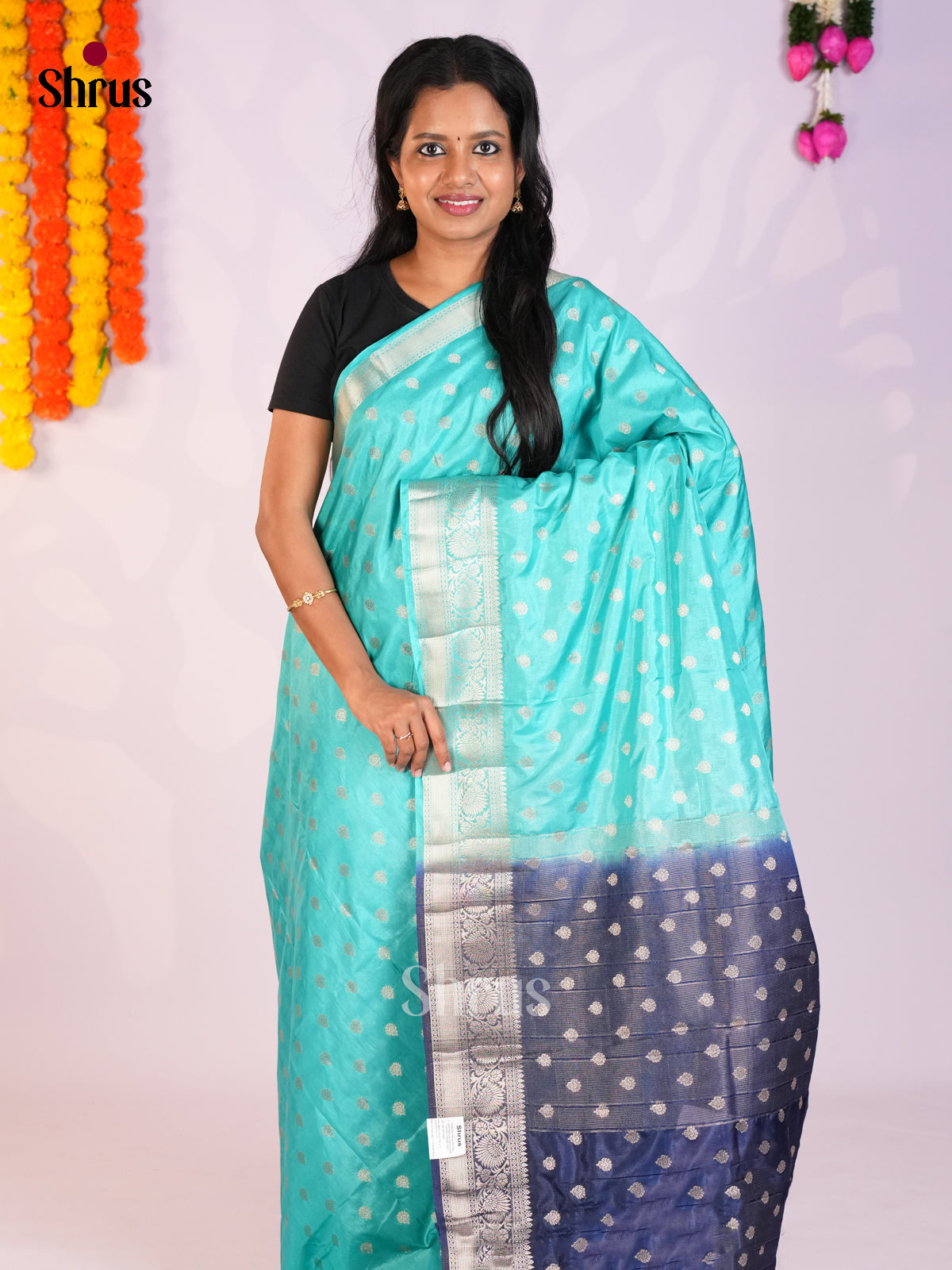 Sky Blue & Blue - North Silk Cotton Saree -DLS06192