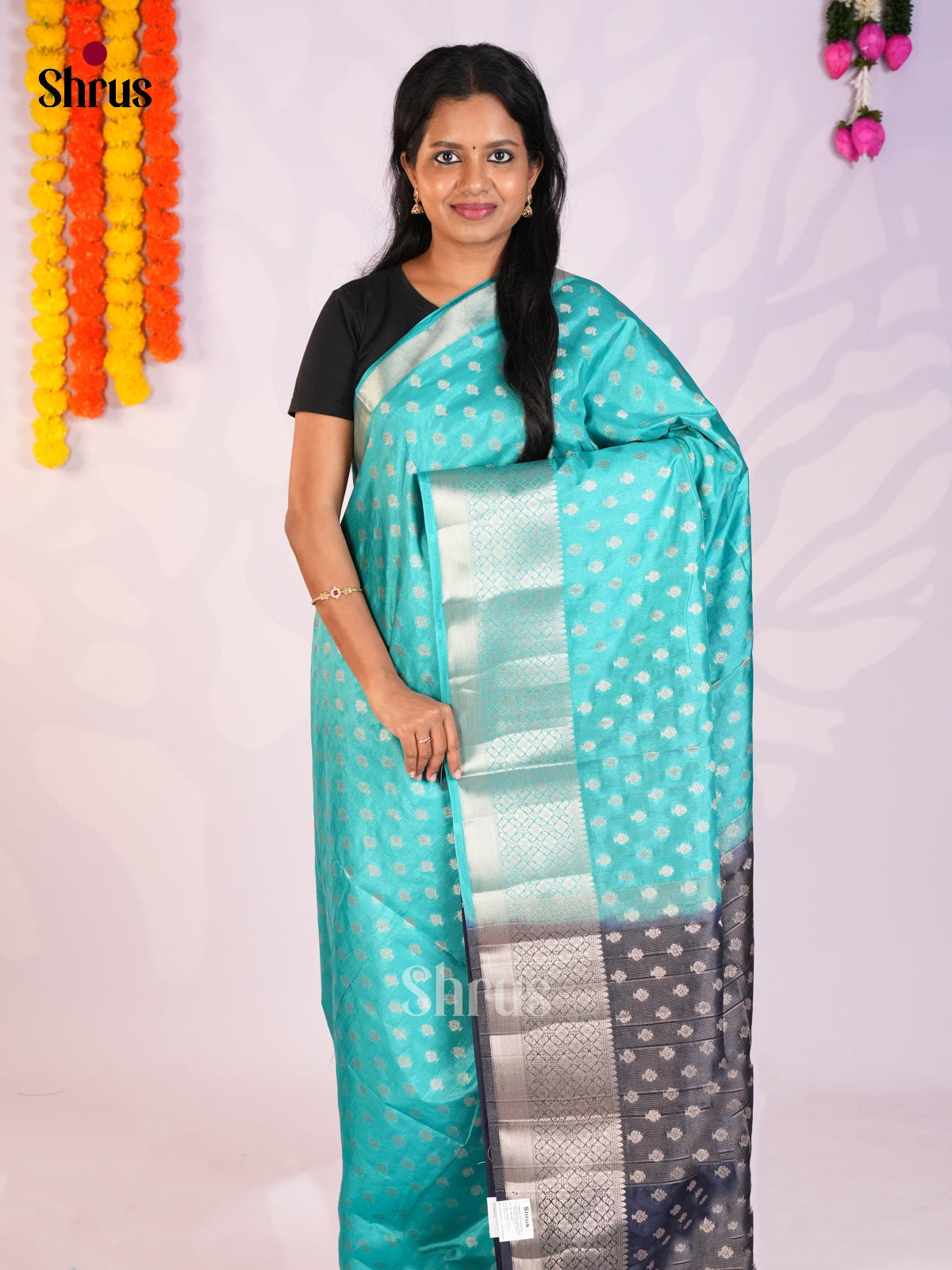 Sky Blue & Blue - North Silk Cotton Saree-DLS06231