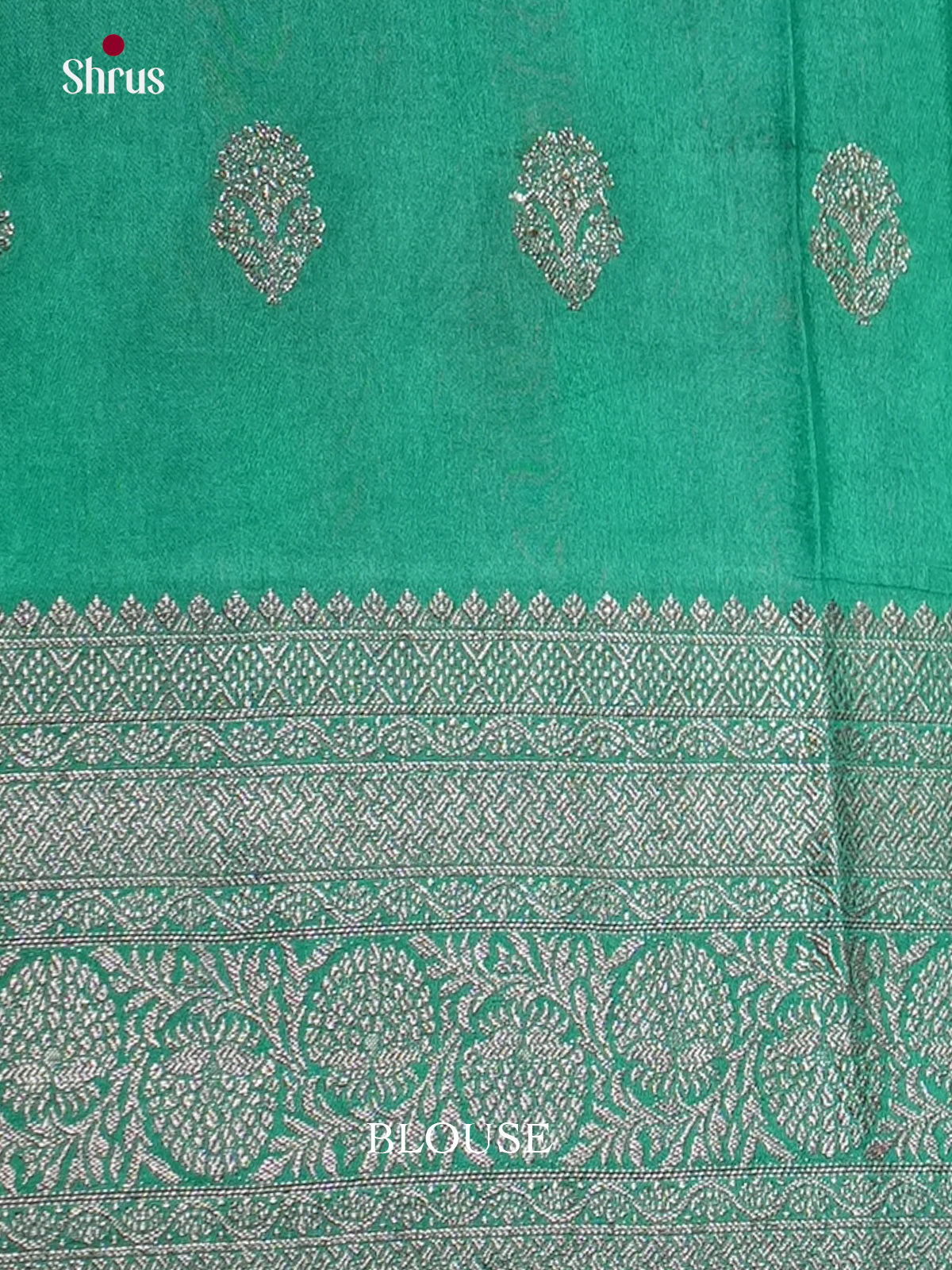 Blue & Green - North Silk Cotton Saree- DLS06248