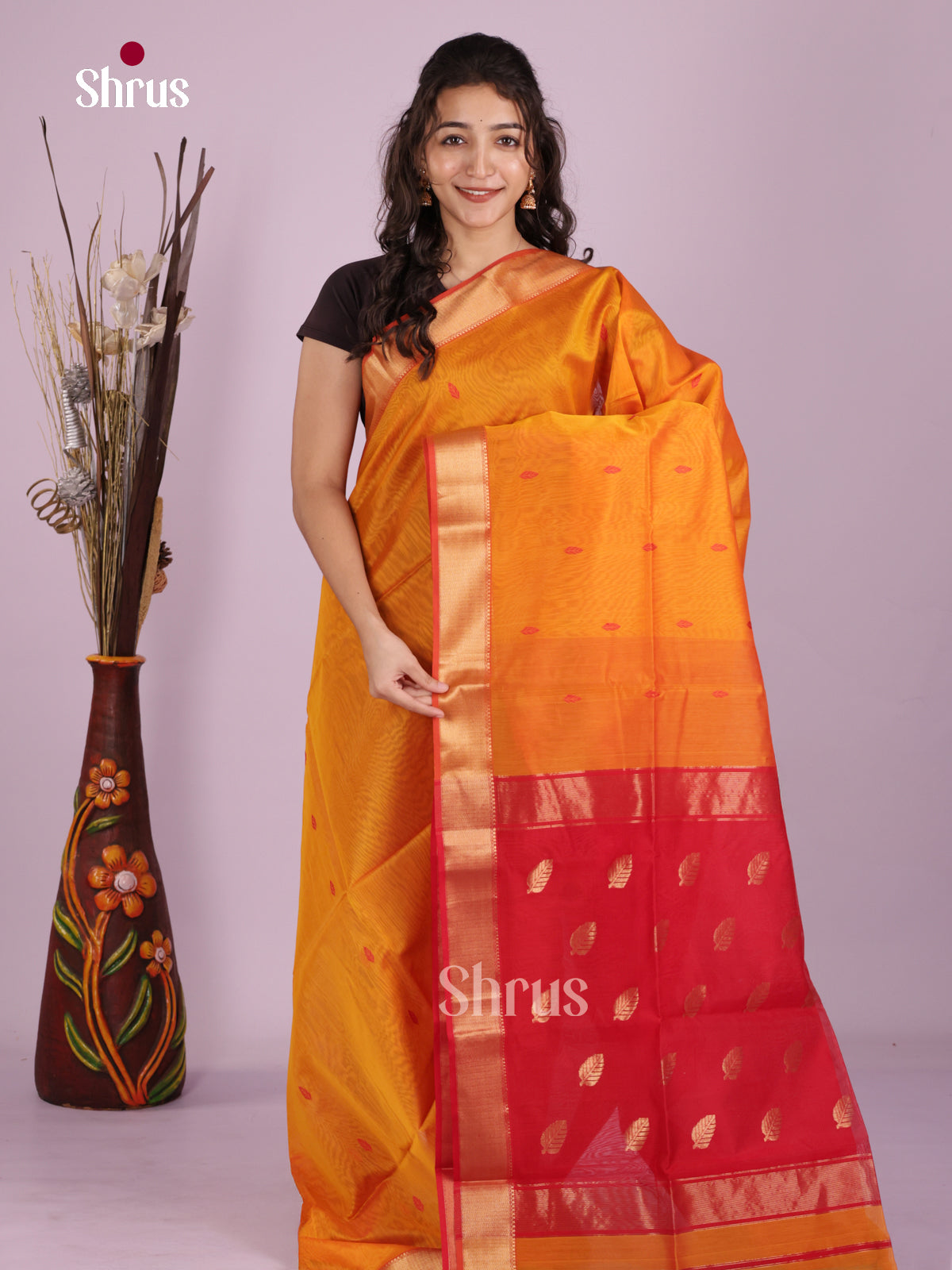 DLS06301 - Maheshwari silkcotton Saree