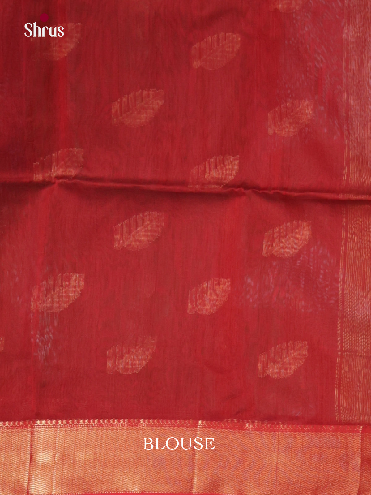 DLS06306 - Maheshwari silkcotton Saree