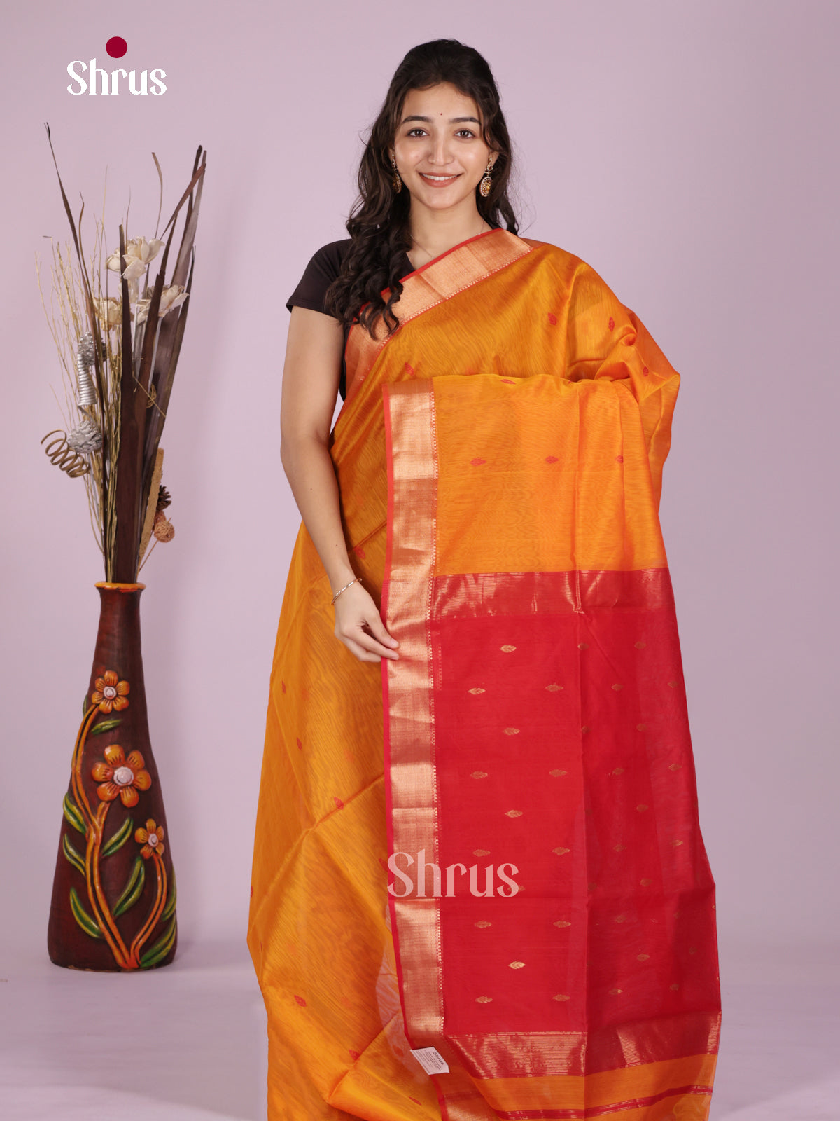 DLS06344 - Maheshwari silkcotton Saree