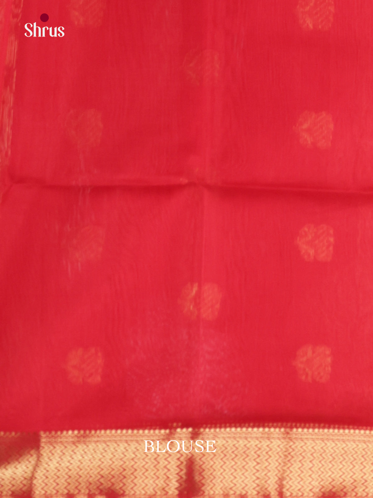 DLS06355 - Maheshwari silkcotton Saree