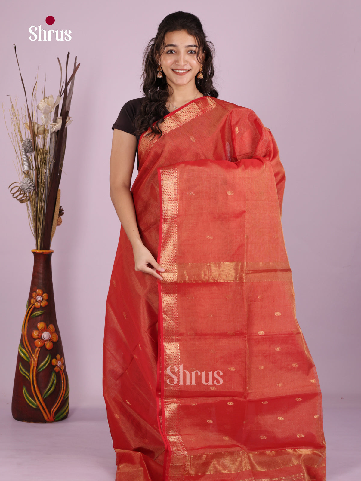 DLS06420 - Maheshwari silkcotton Saree