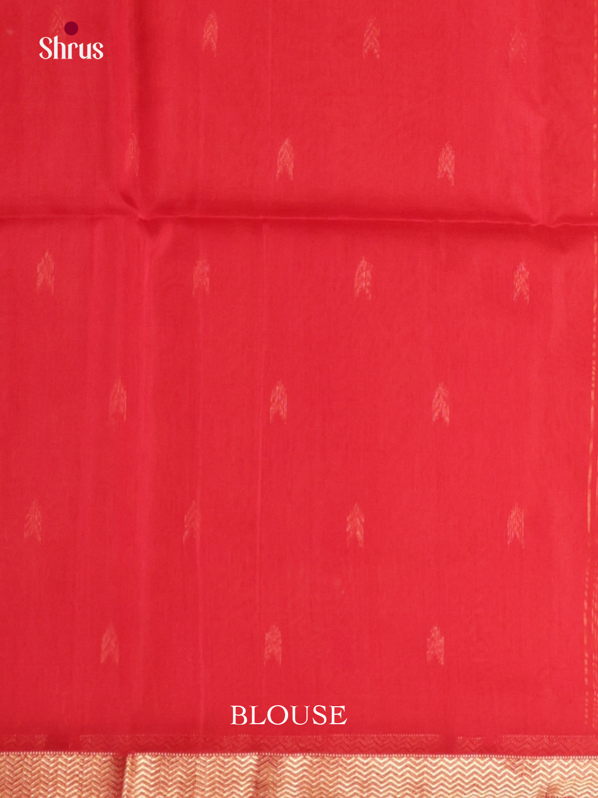 DLS06444 - Maheshwari silkcotton Saree