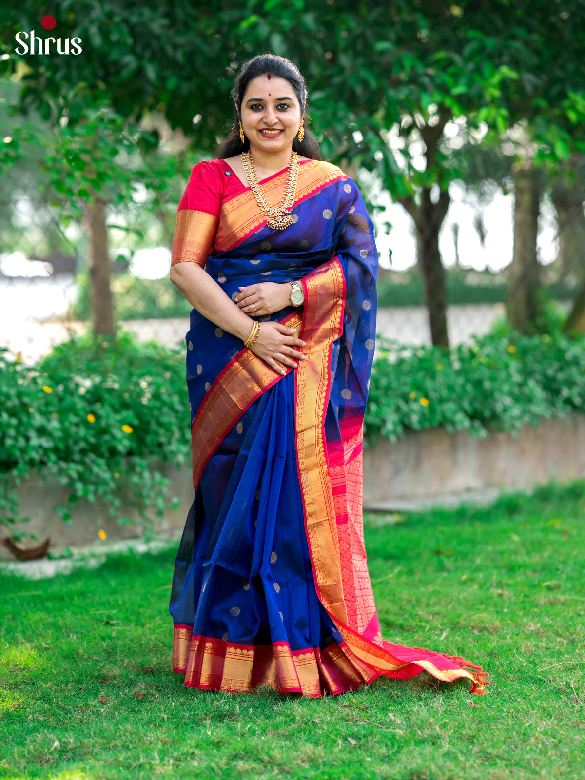 DLS06475 - Silk Cotton Saree - Shop on Shrus.com