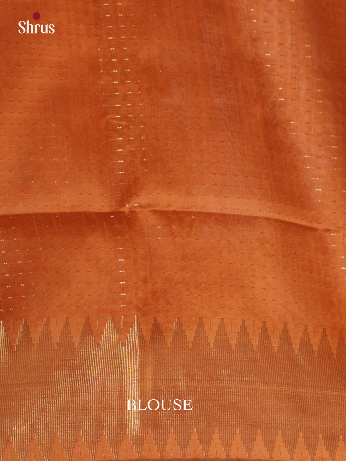 DLS11077 - Semi Rawsilk Saree - Shop on Shrus.com