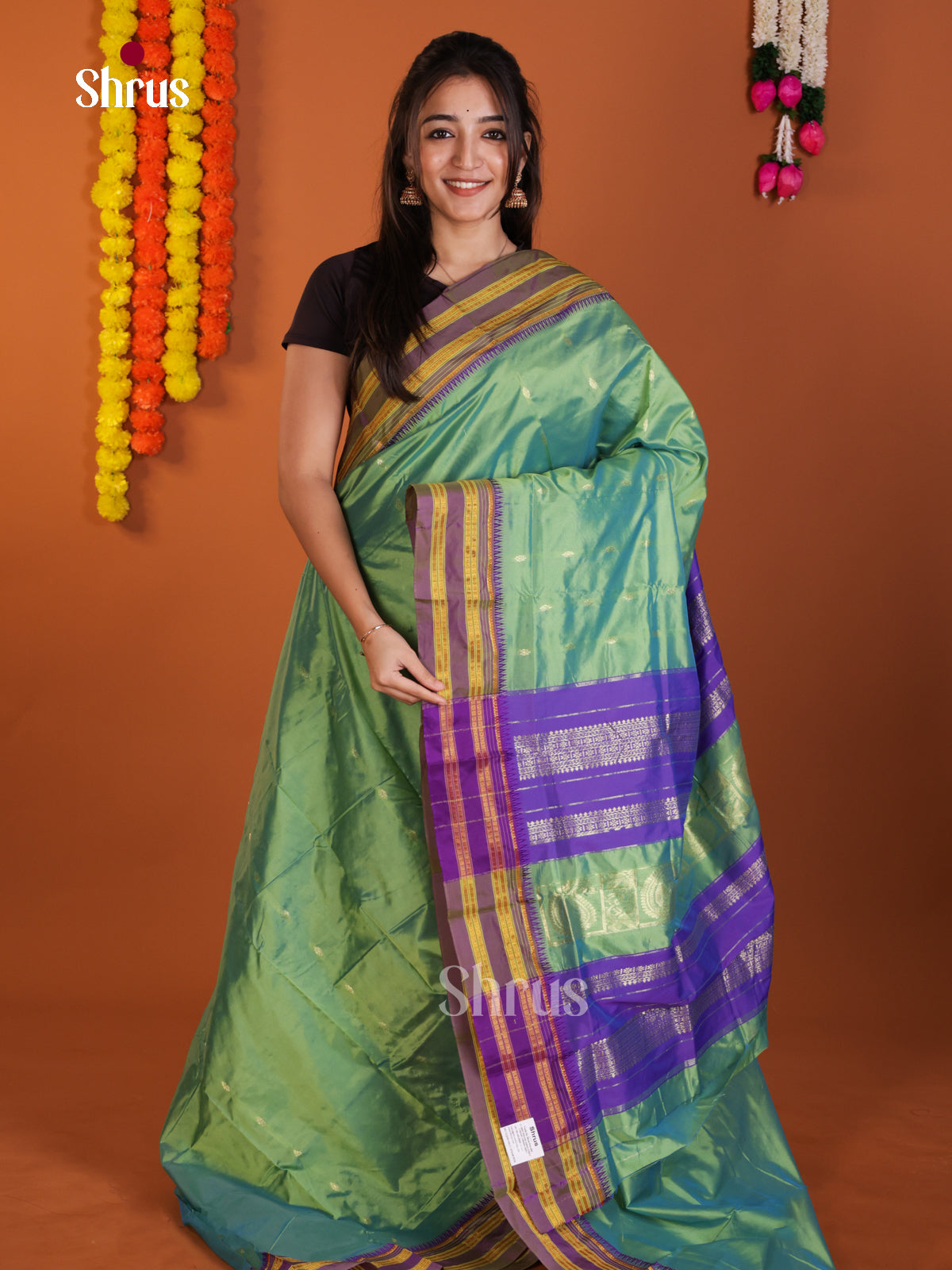 DLS13102 - Narayanpetsilk-halfpure Saree - Shop on Shrus.com