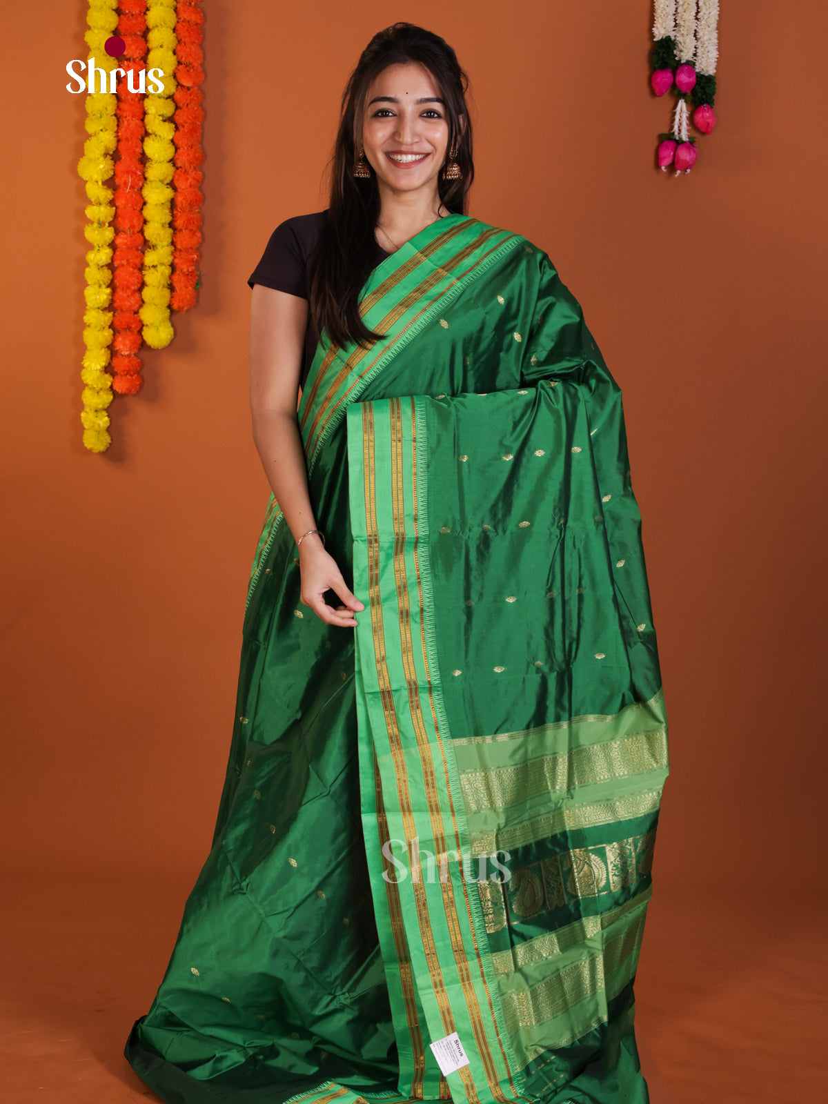 DLS13103 - Narayanpetsilk-halfpure Saree - Shop on Shrus.com