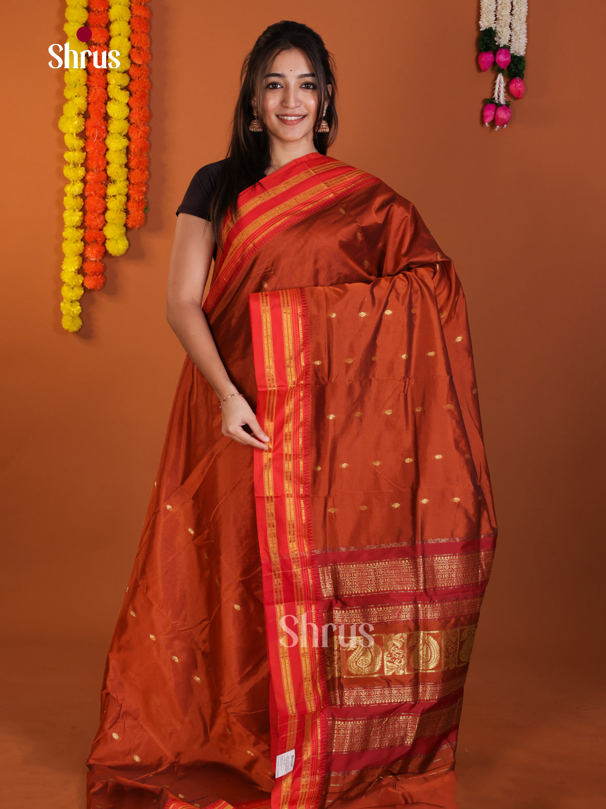 DLS13115 - Narayanpetsilk-halfpure Saree - Shop on Shrus.com