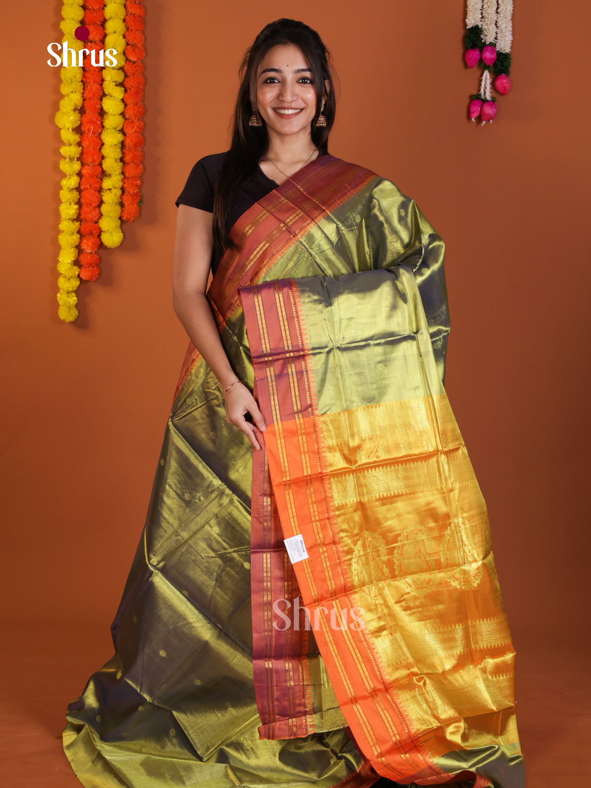 DLS13119 - Narayanpetsilk-halfpure Saree - Shop on Shrus.com