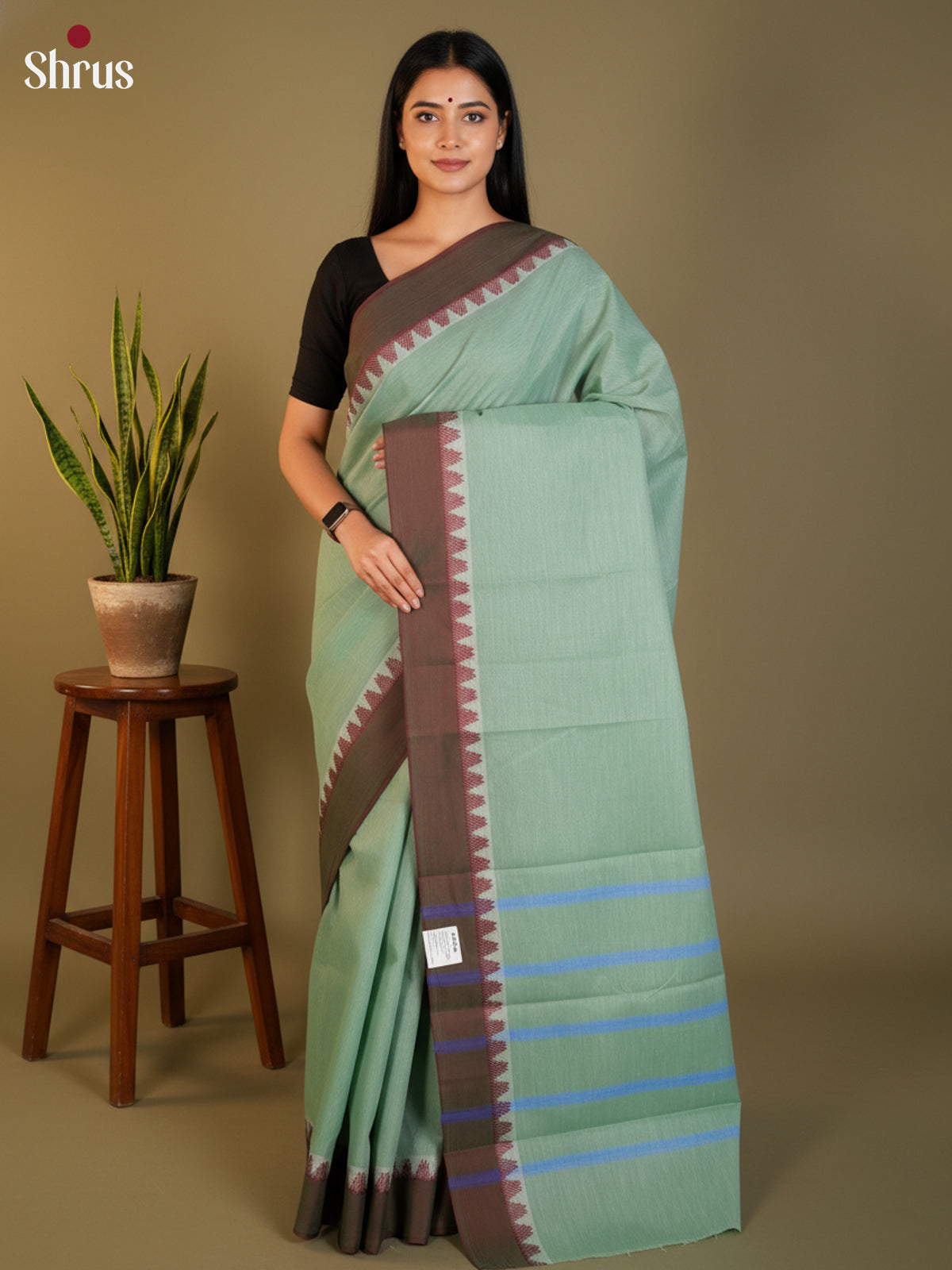 Pastel green & Brown - South Cotton Saree-DLS15238