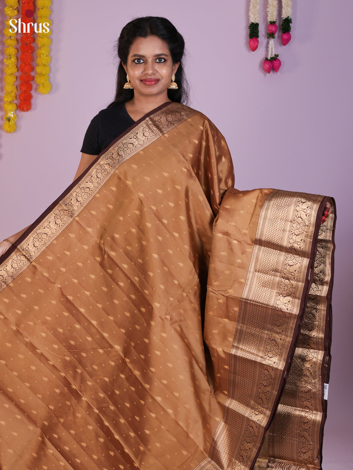 DLS16009 - Kanchipuram-halfpure Saree - Shop on Shrus.com