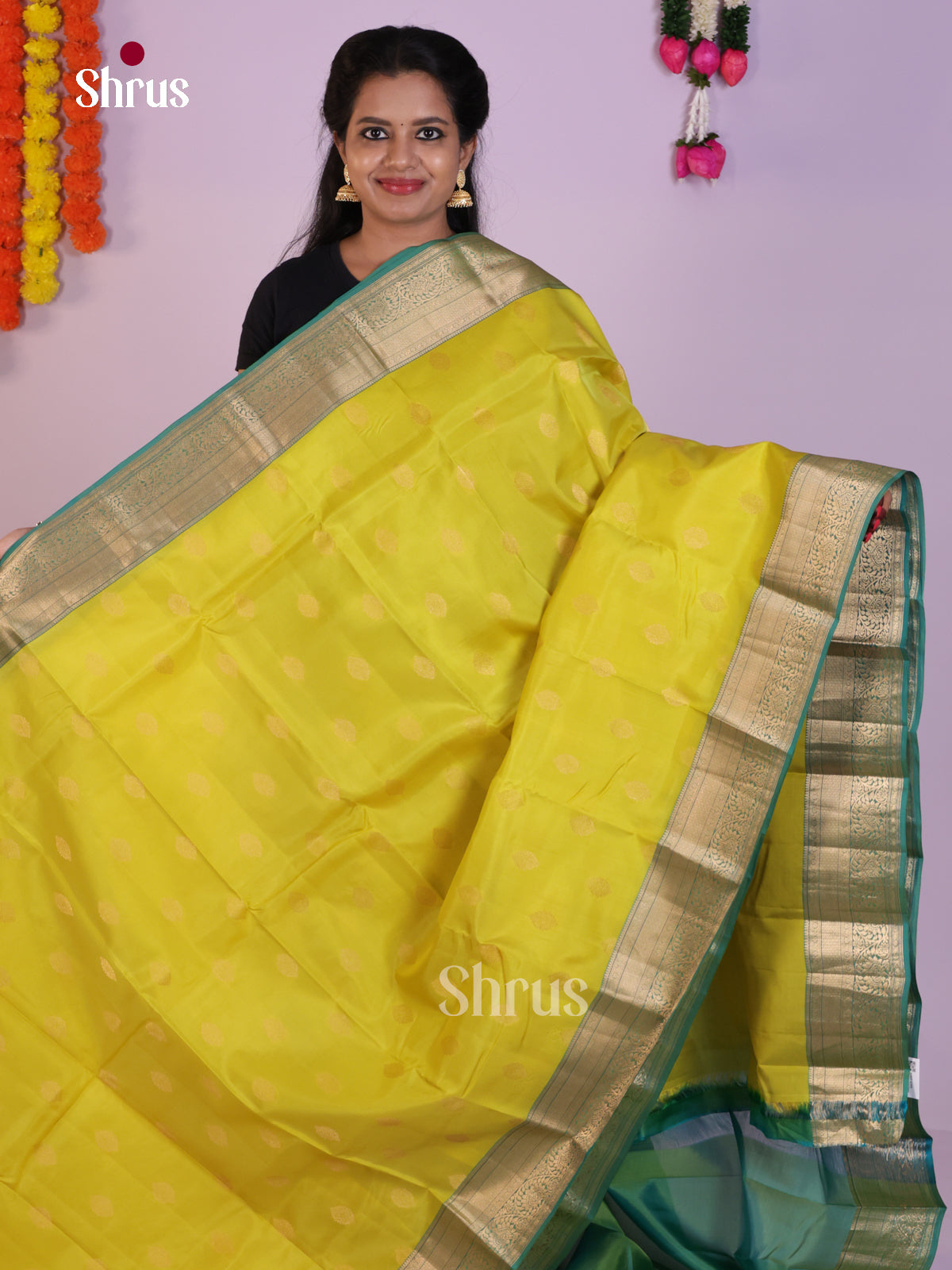 DLS16027 - Kanchipuram-halfpure Saree - Shop on Shrus.com