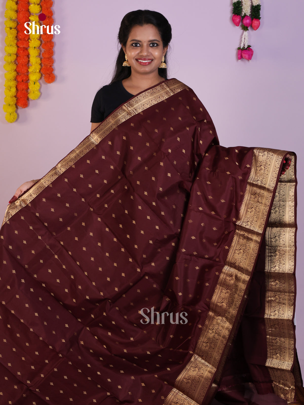 Royal Deep Brown Pattu Saree With Gold Buttas & Brocade Pallu