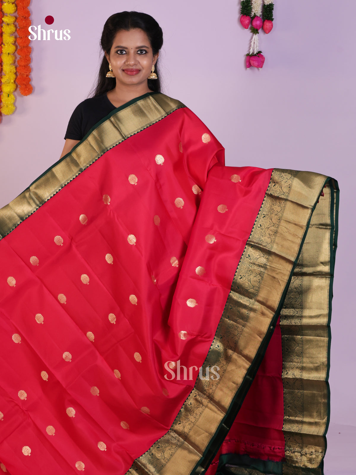 DLS16242 - Kanchipuram Korvai Butta Saree - Shop on Shrus.com