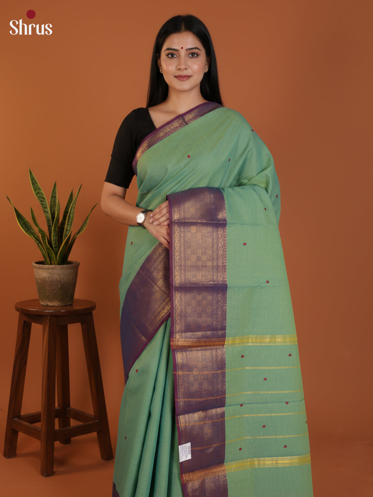 DLS29029 - Chettinad Cotton Saree