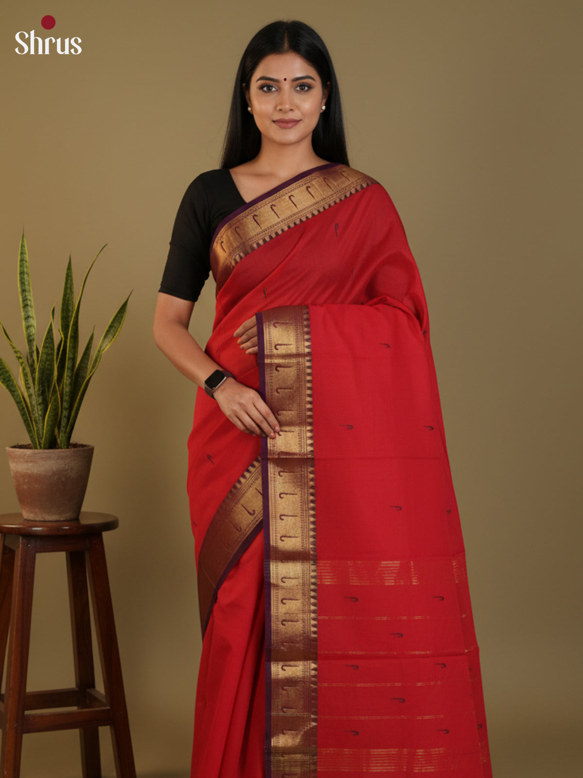 DLS29042 - Chettinad Cotton Saree - Shop on Shrus.com