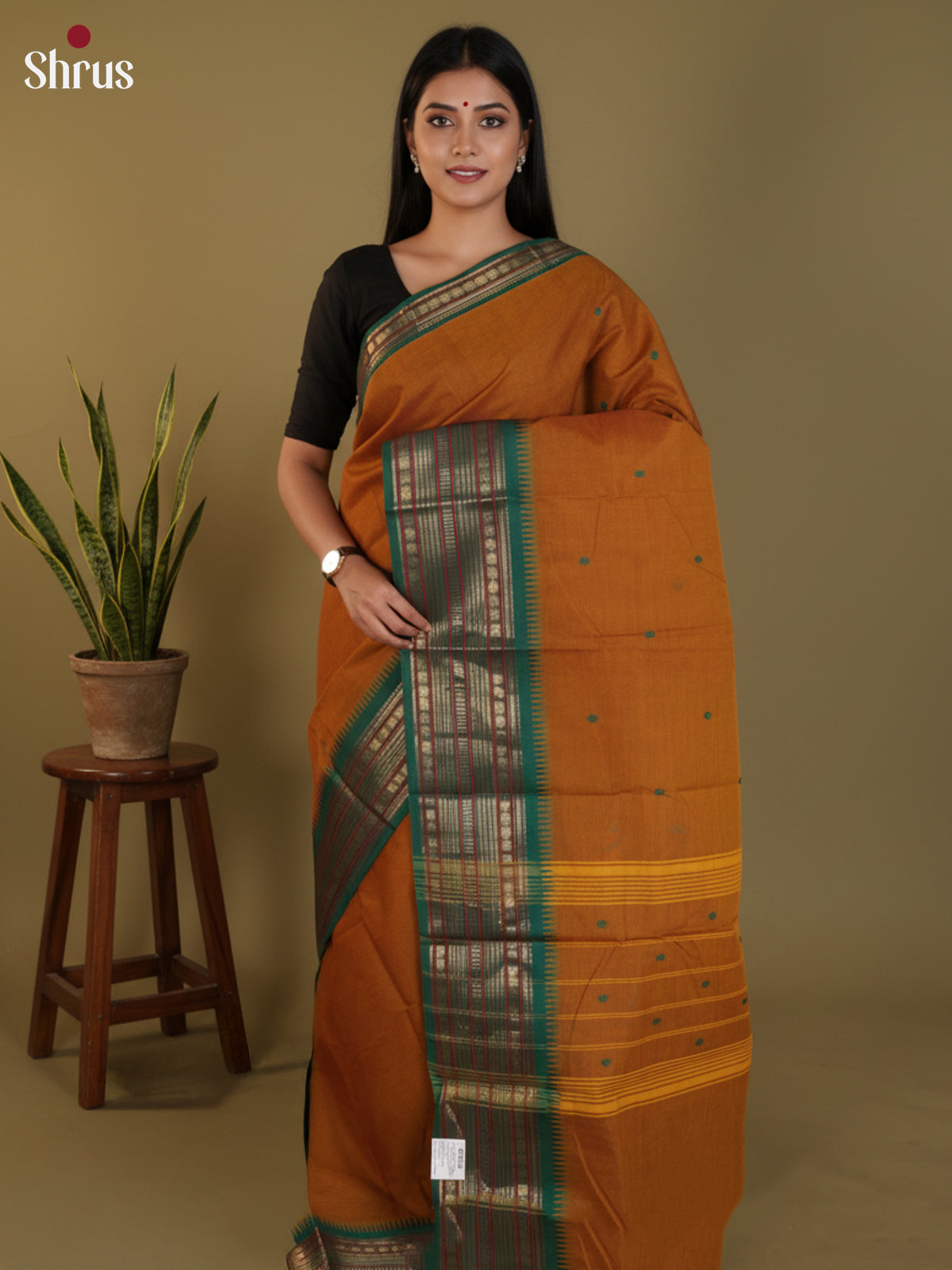 Dark Mustard & Green - Chettinad Cotton Saree - DLS29056 - Shop on Shrus.com
