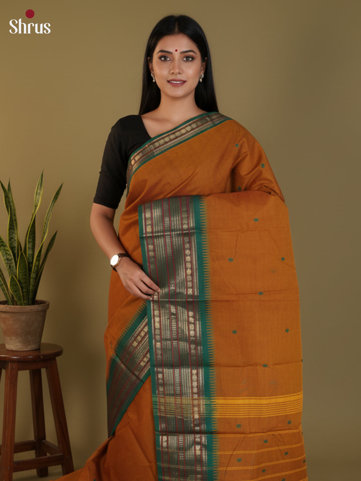 Dark Mustard & Green - Chettinad Cotton Saree - DLS29056 - Shop on Shrus.com