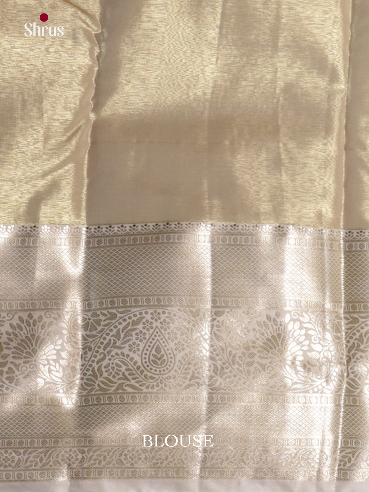 DLS29081 - Kanchipuram-halfpure Saree