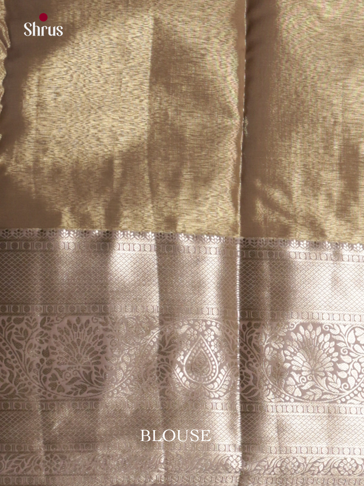 DLS29086 - Kanchipuram-halfpure Saree