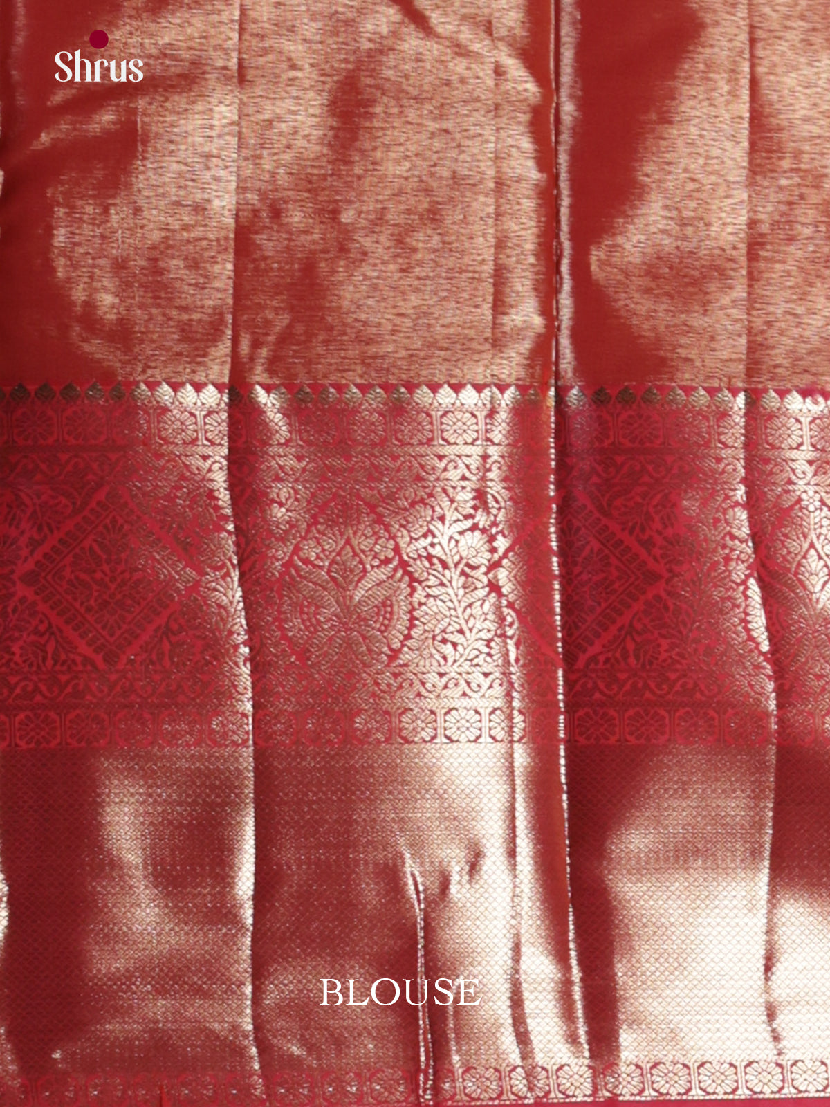 DLS29087 - Kanchipuram-halfpure Saree