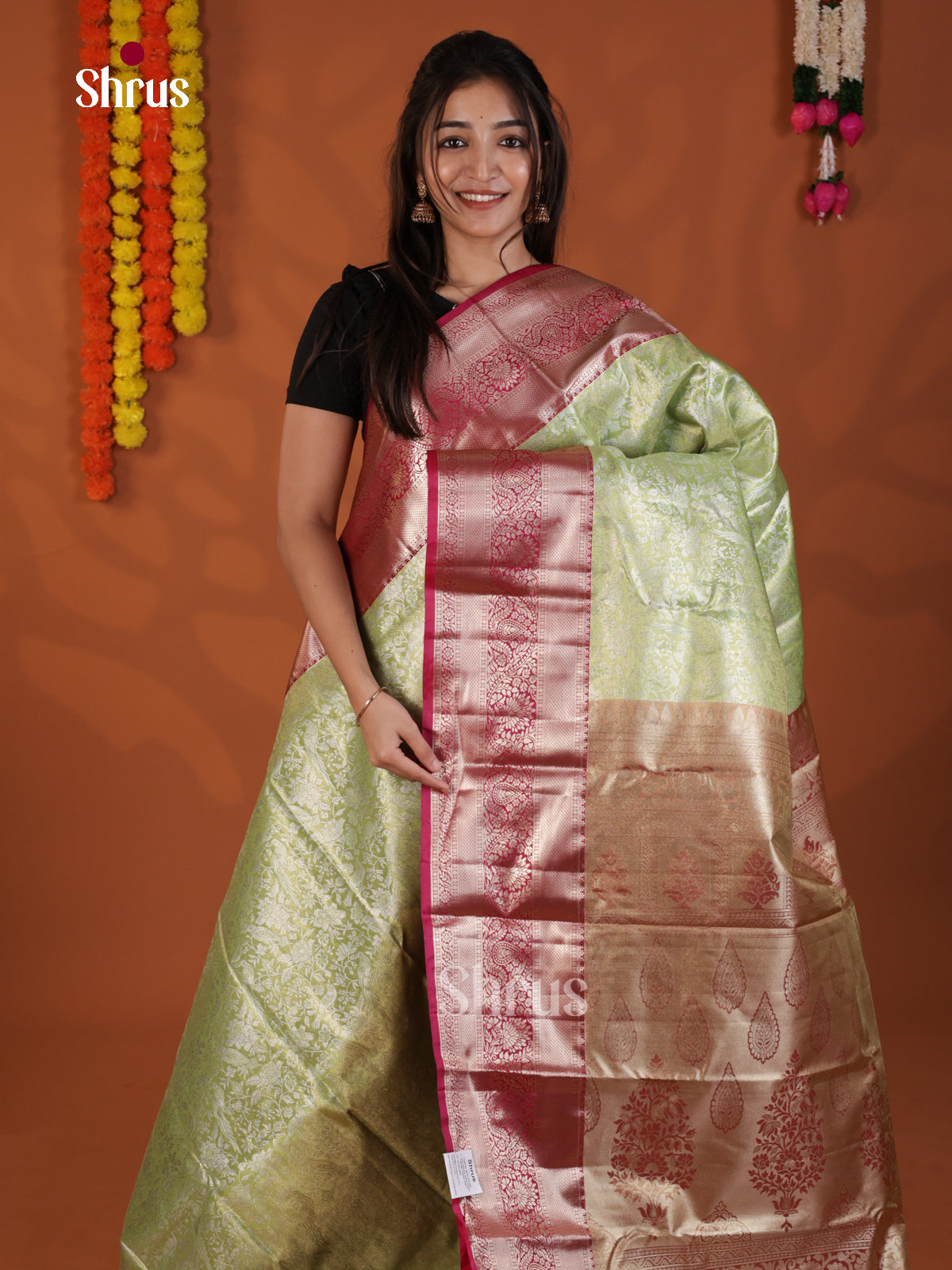 Light Green & Majenta - Kanchipuram-halfpure Saree- DLS29088 - Shop on Shrus.com