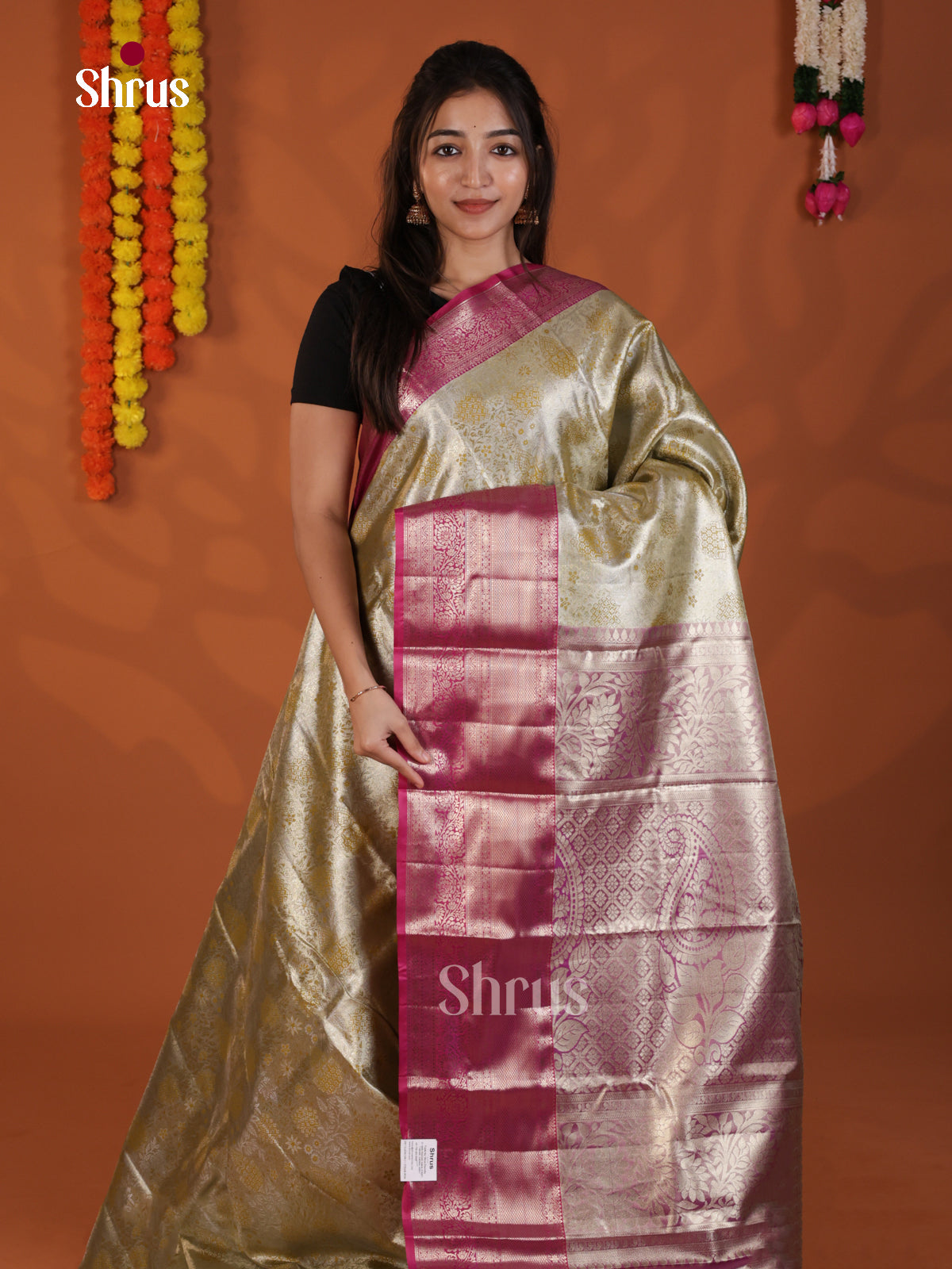 DLS29105 - Kanchipuram-halfpure Saree