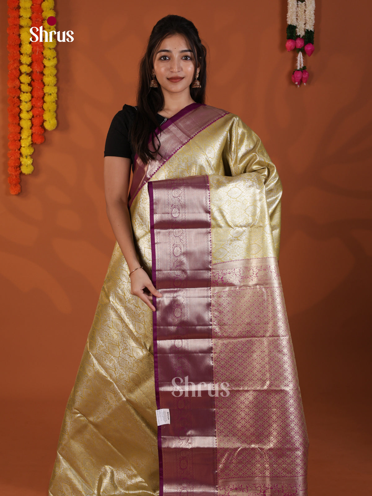 DLS29118 - Kanchipuram-halfpure Saree
