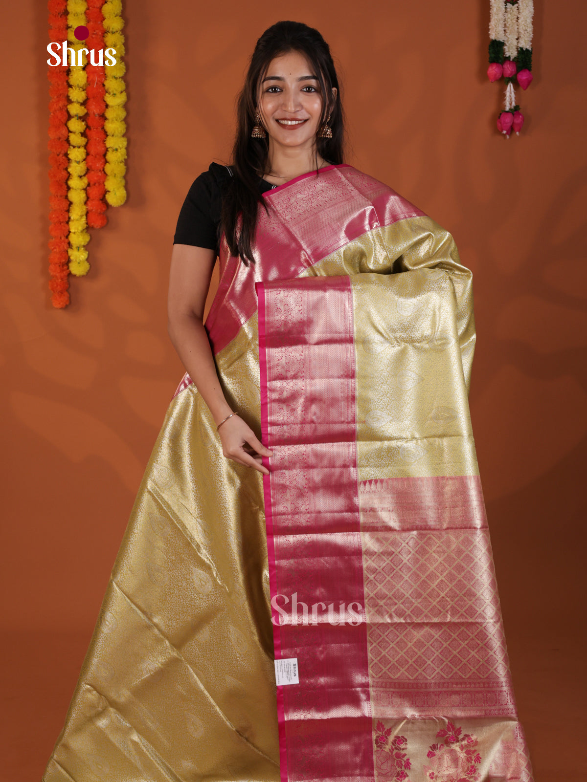 DLS29120 - Kanchipuram-halfpure Saree