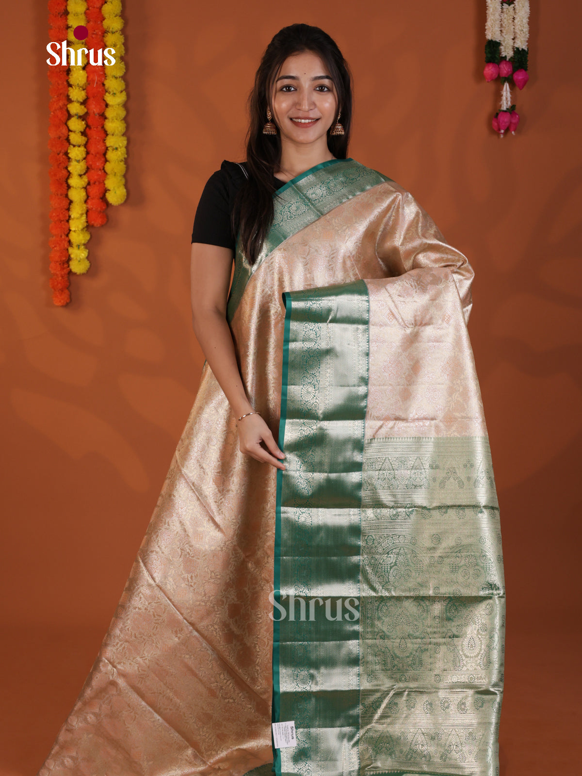 DLS29128 - Kanchipuram-halfpure Saree