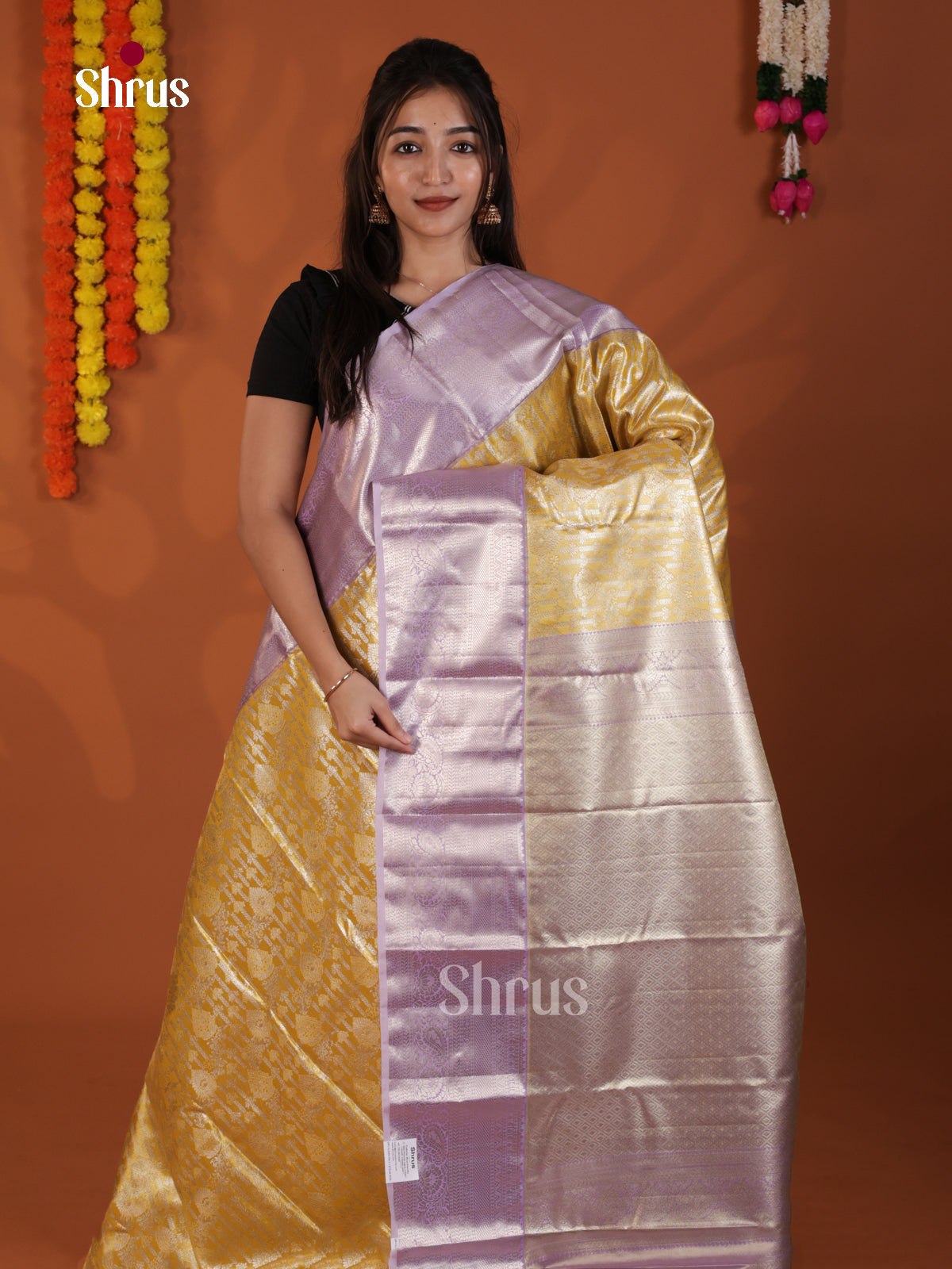 DLS29130 - Kanchipuram-halfpure Saree
