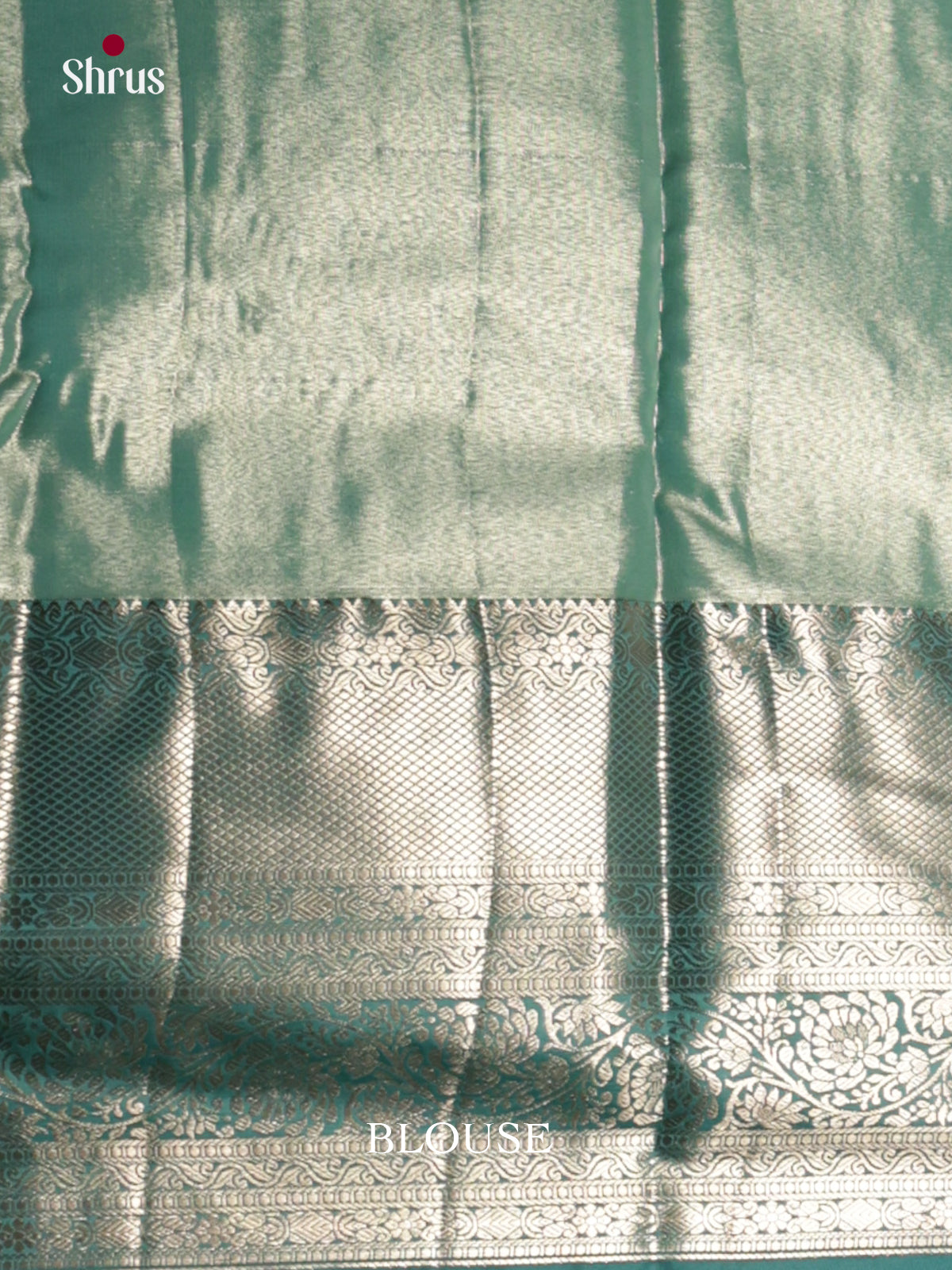 DLS29141 - Kanchipuram-halfpure Saree