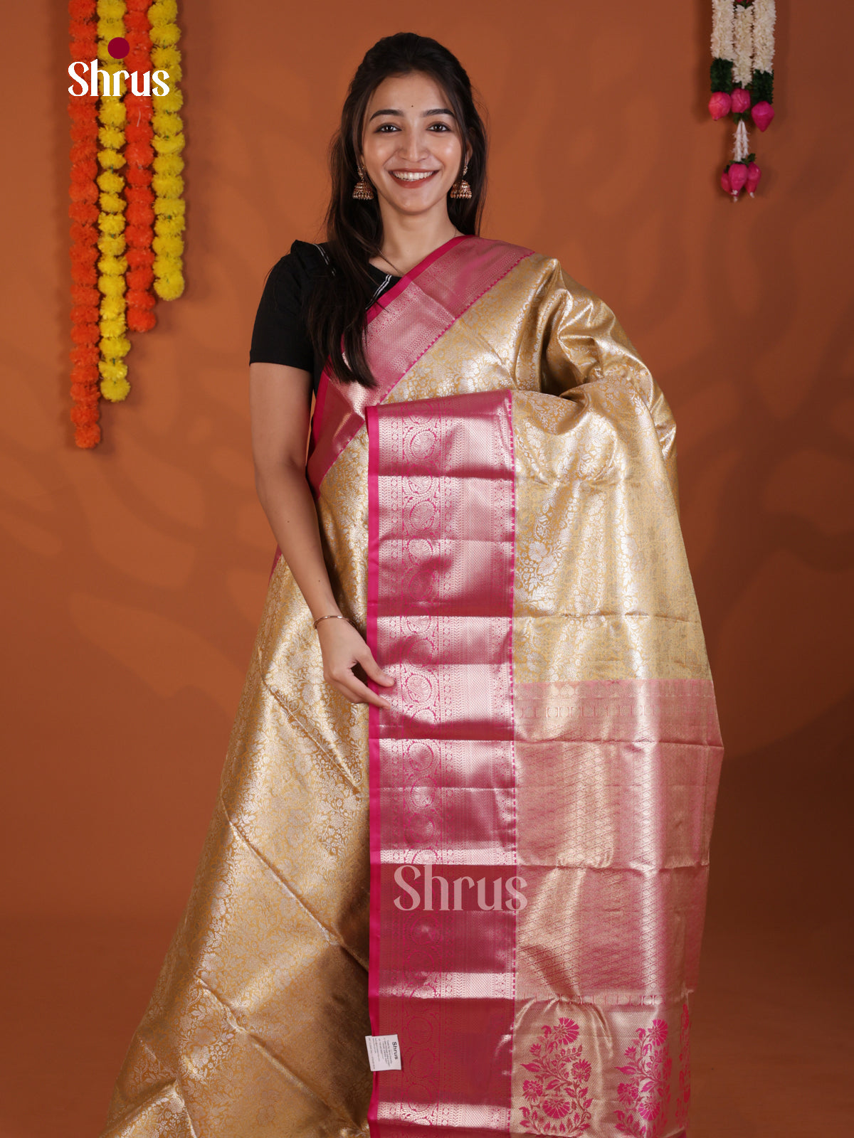 DLS29148 - Kanchipuram-halfpure Saree
