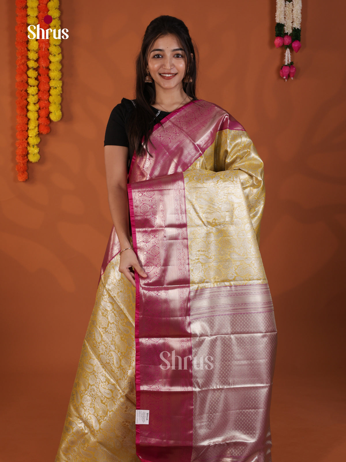 DLS29156 - Kanchipuram-halfpure Saree