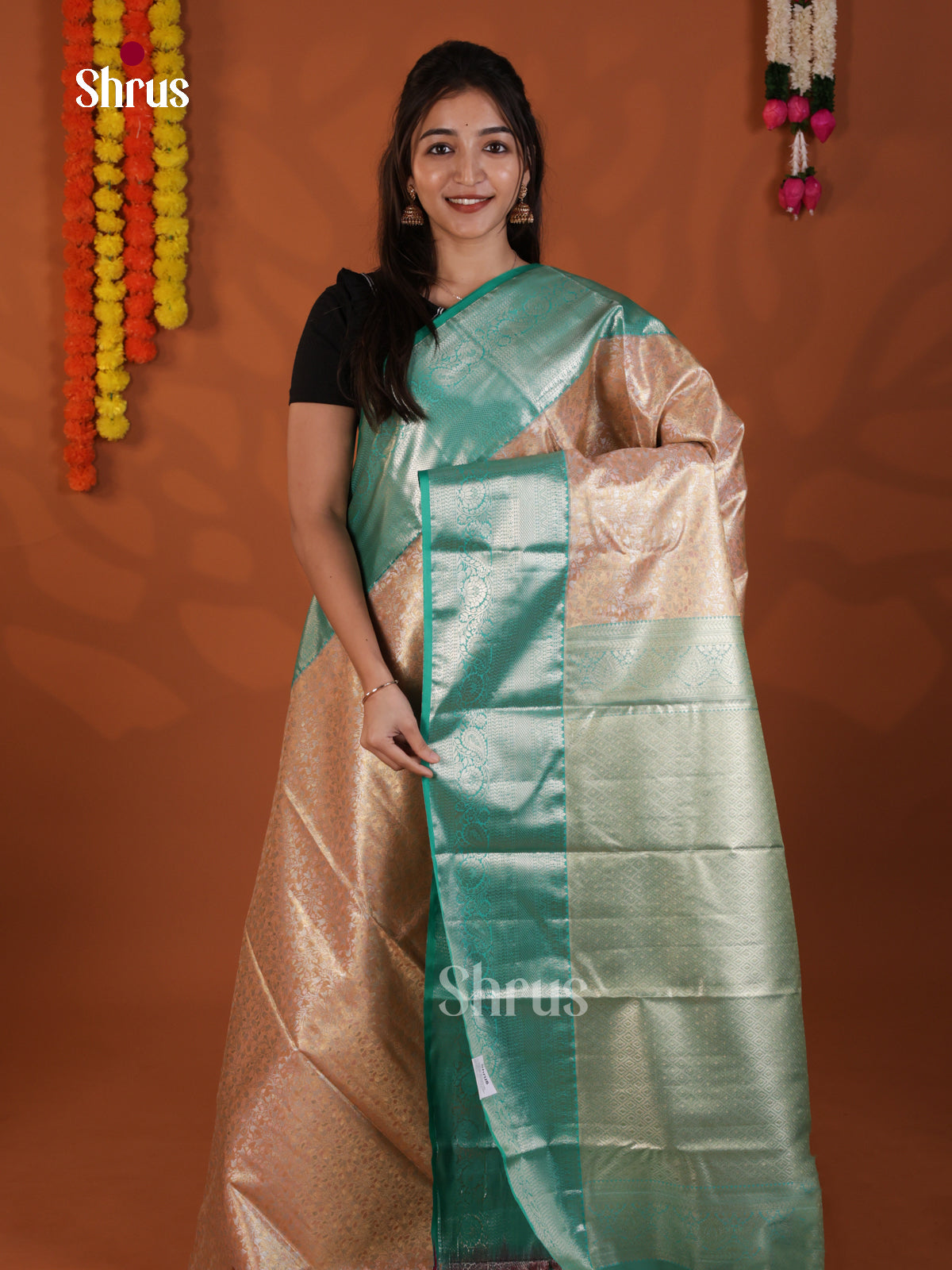 DLS29160 - Kanchipuram-halfpure Saree
