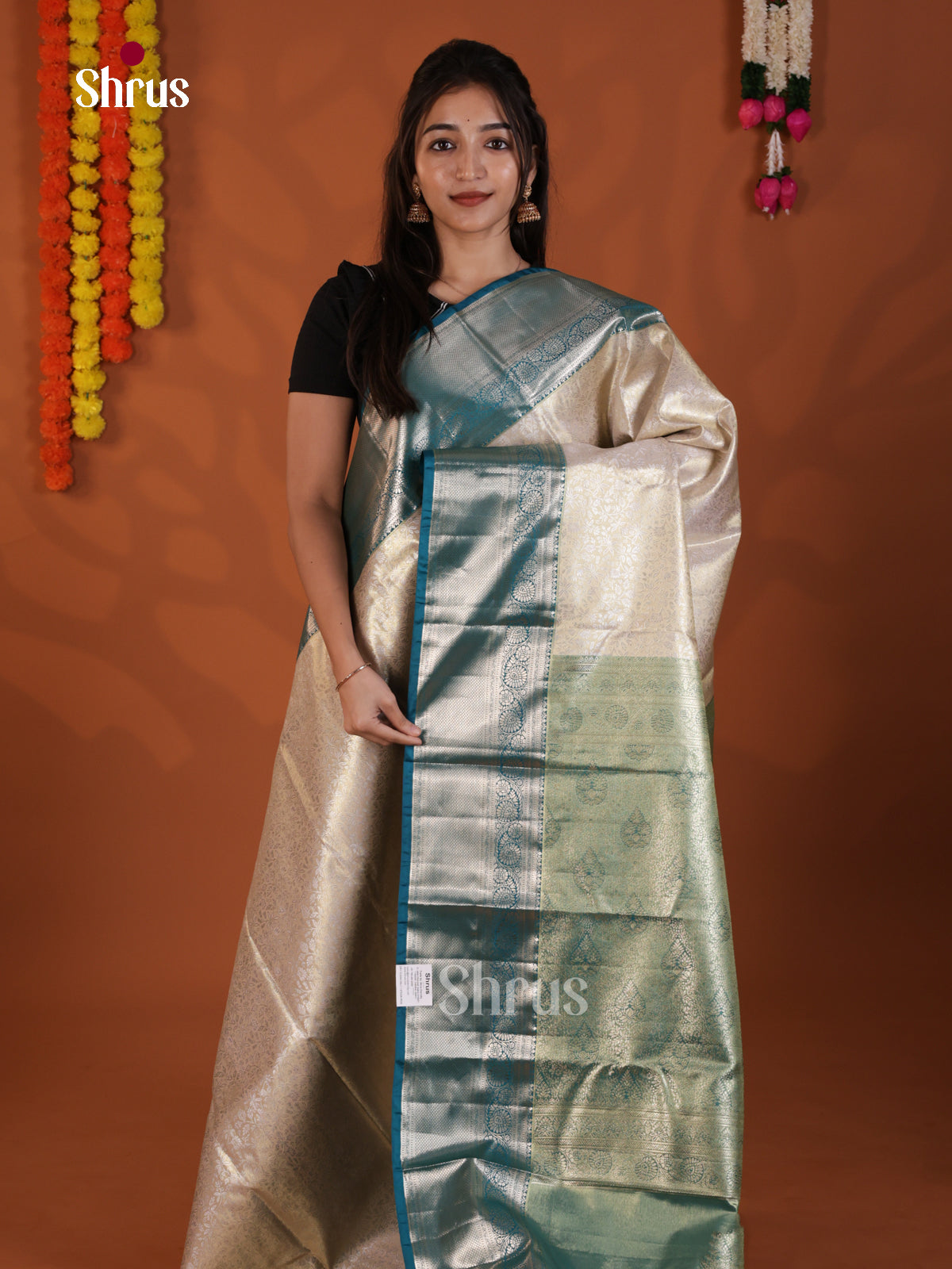 DLS29170 - Kanchipuram-halfpure Saree