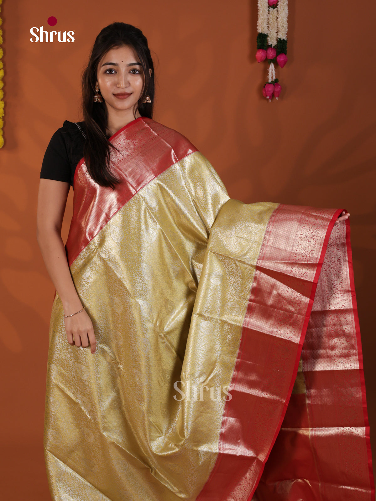 DLS29175 - Kanchipuram-halfpure Saree