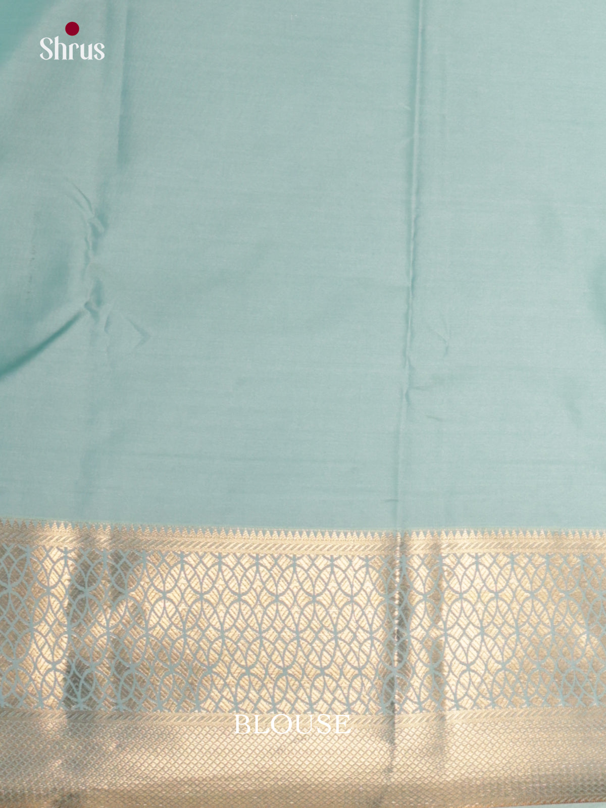 DLS29200 - Kanchipuram-halfpure Saree