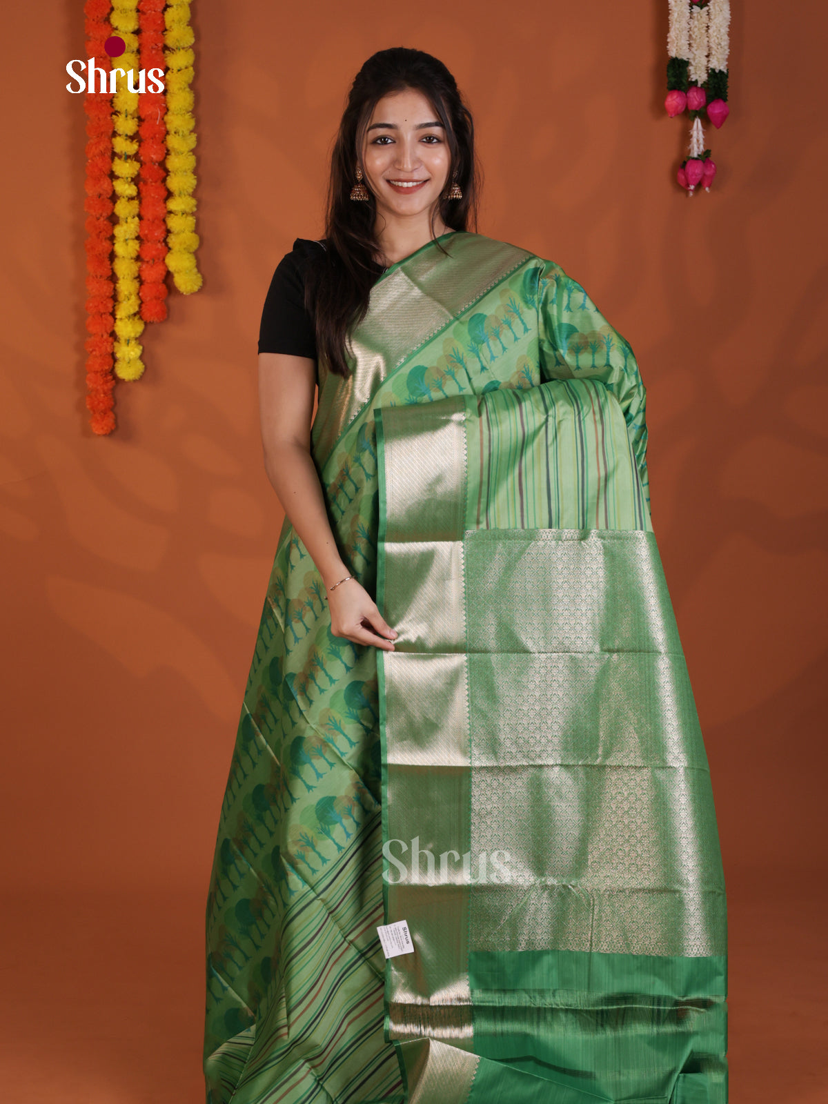 DLS29207 - Kanchipuram-halfpure Saree