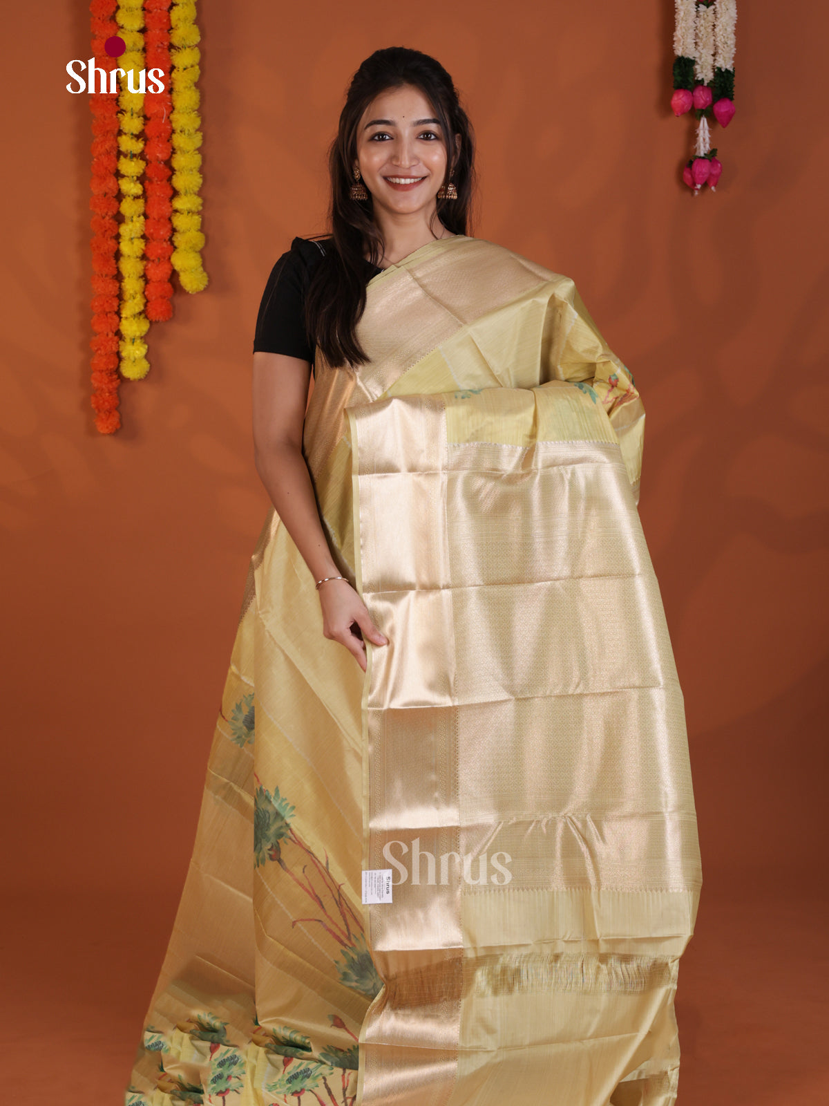 DLS29229 - Kanchipuram-halfpure Saree - Shop on Shrus.com