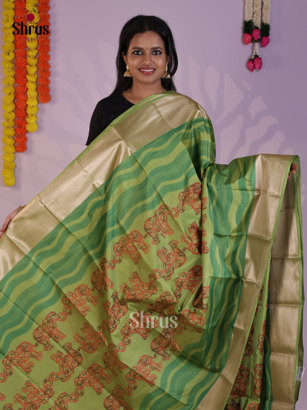 DLS29247 - Kanchipuram-halfpure Saree