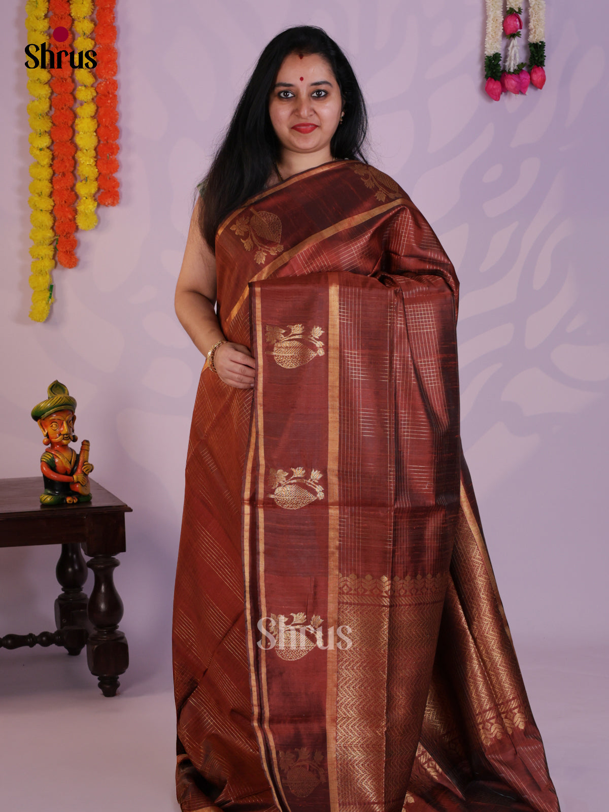 Classy Brown Raw Silk Saree with zari checks & brocade pallu- DLS30003