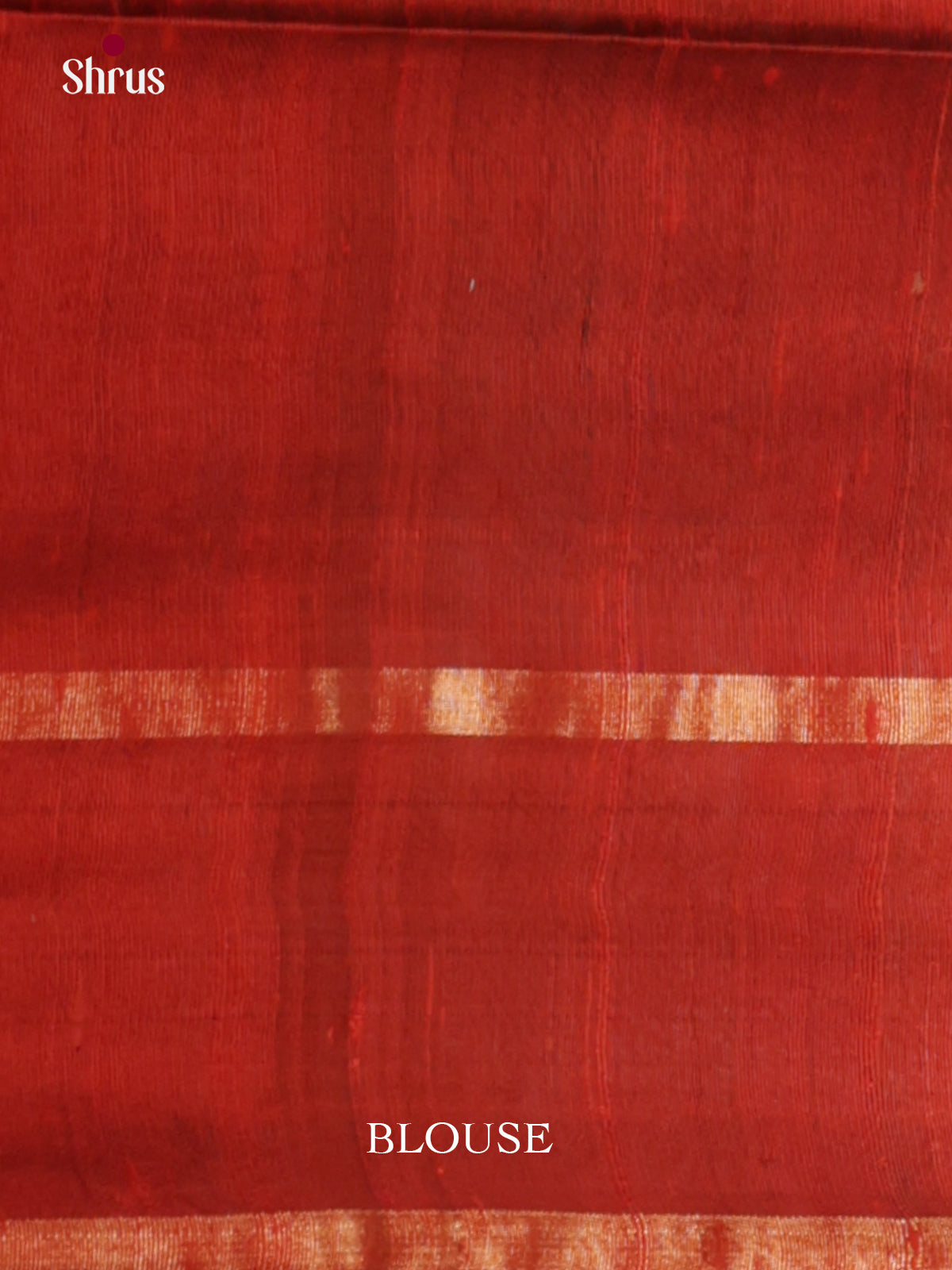 Bright Rust & Brown Raw Silk Saree with contrast thread woven pallu - DLS30016 - Shop on Shrus.com